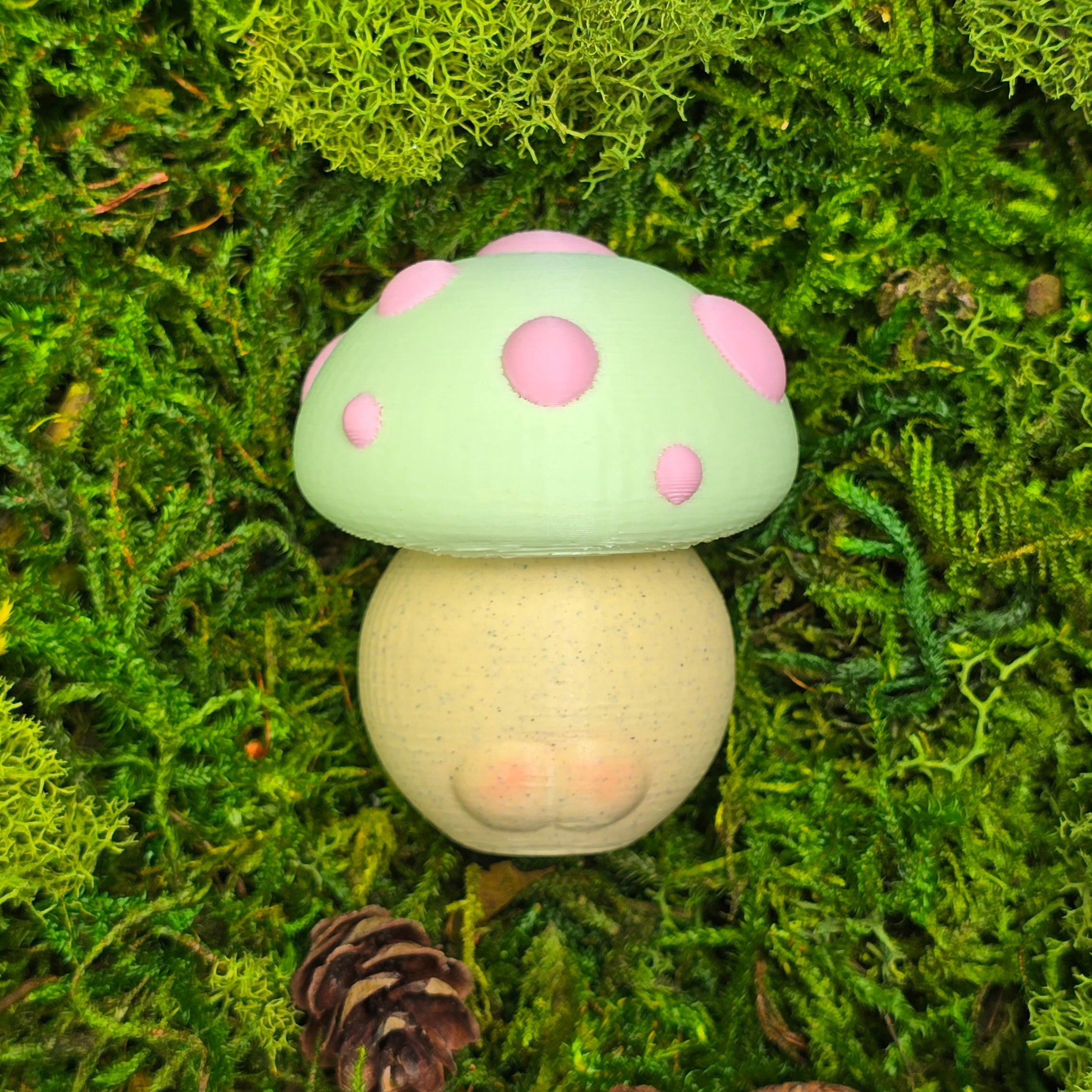 Matcha Cap Mood Shroom