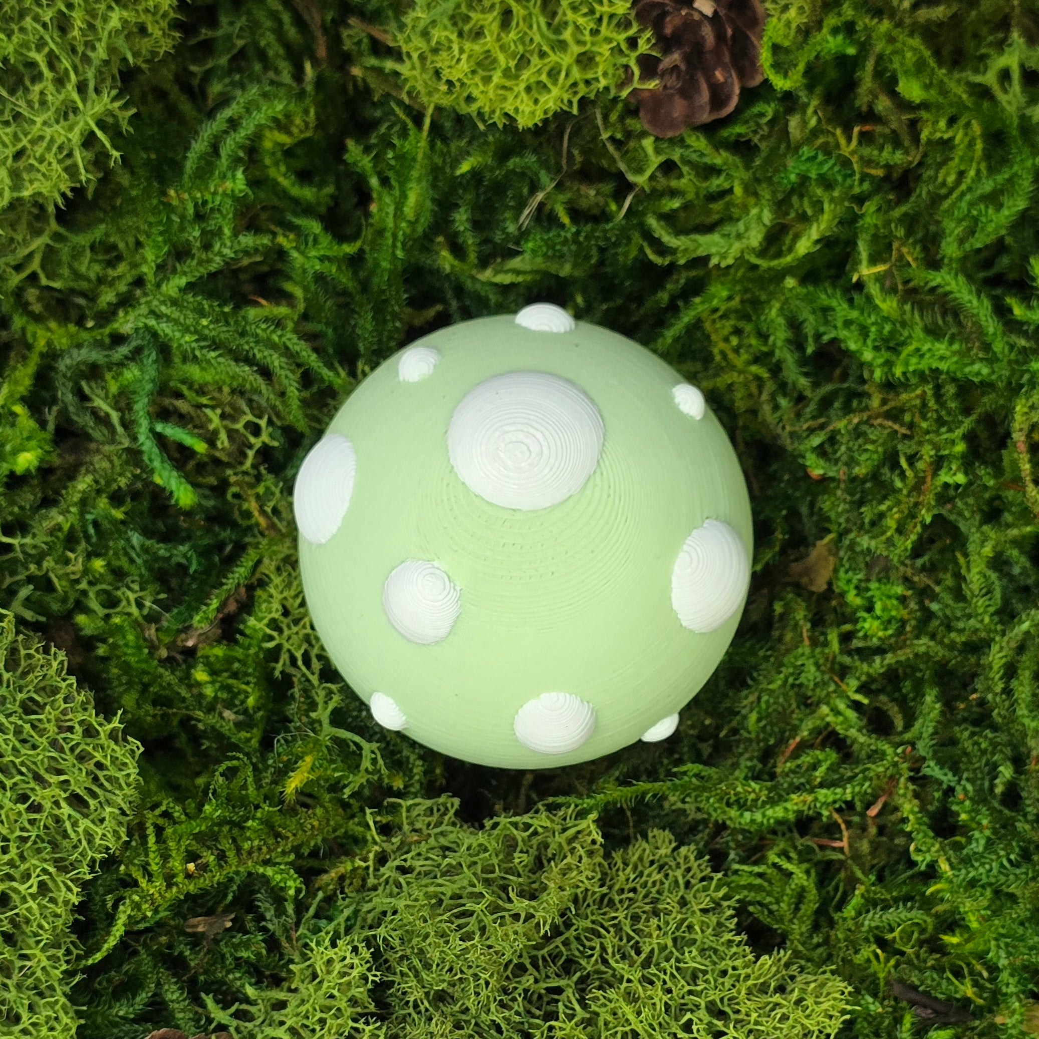 Moss Cap Mood Shroom