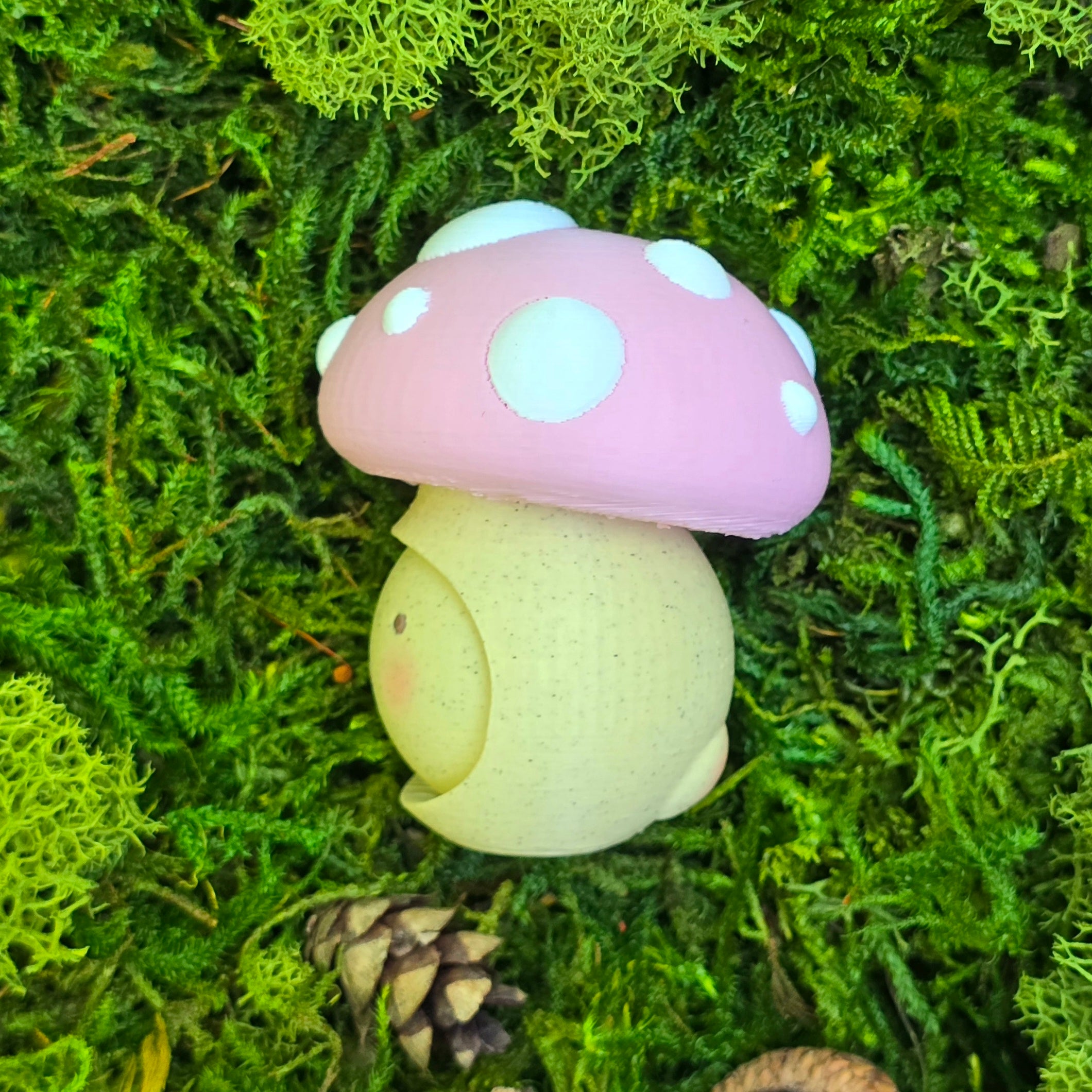 Blush Cap Mood Shroom