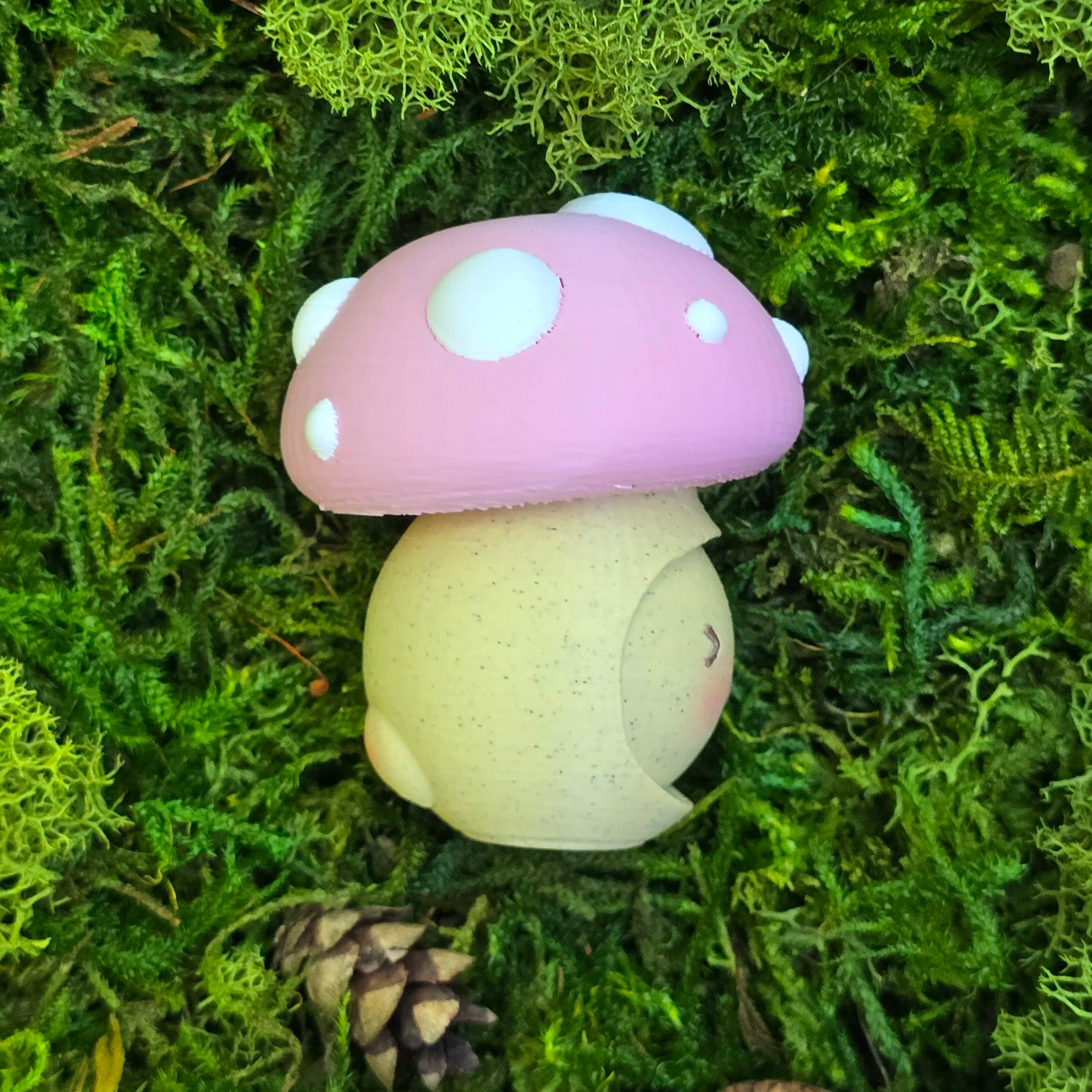 Blush Cap Mood Shroom