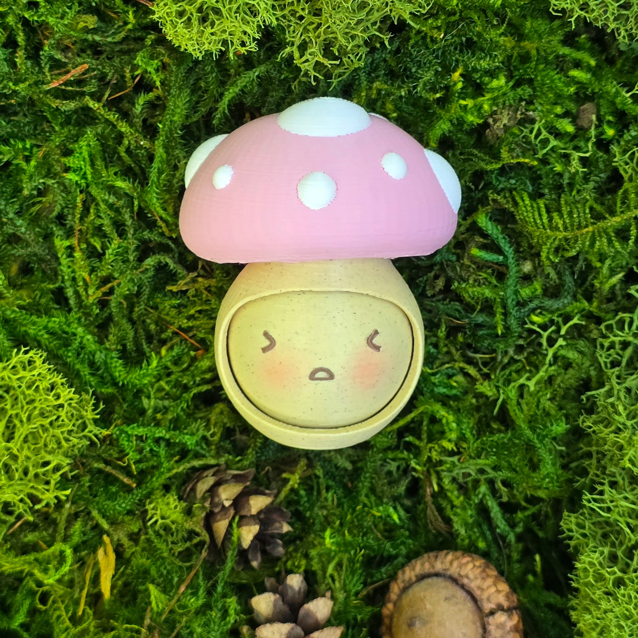 Blush Cap Mood Shroom