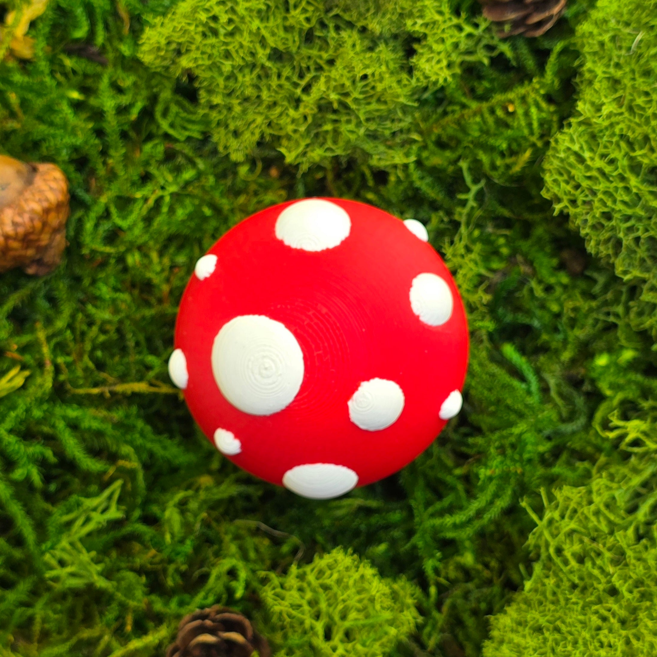 Scarlet Cap Mood Shroom